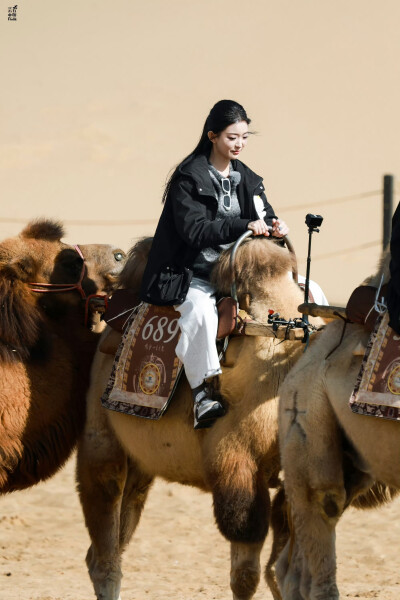 跳进地理书的旅行