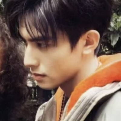 我只剩下拼凑不了你的纤维