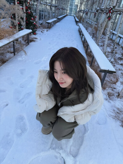 好萌一只萨摩耶