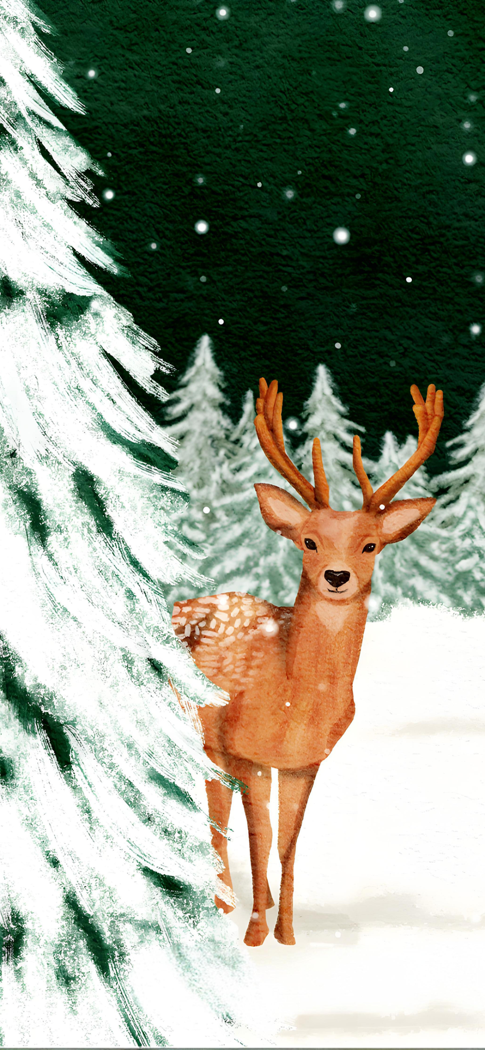 圣诞快乐
图片来自网络，侵删