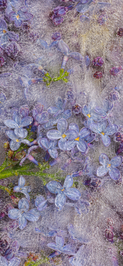 可爱的
图片来自网络，侵删