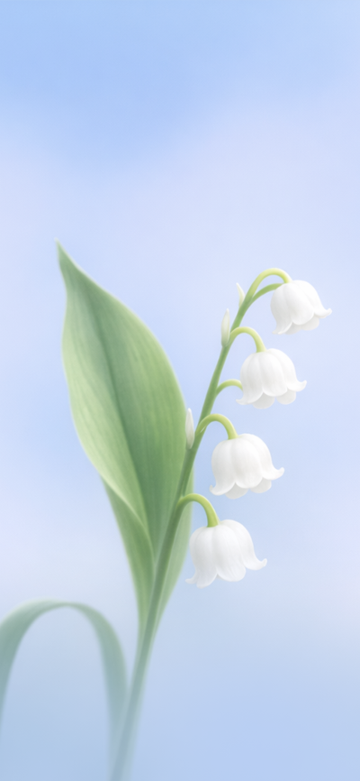 可爱的
图片来自网络，侵删