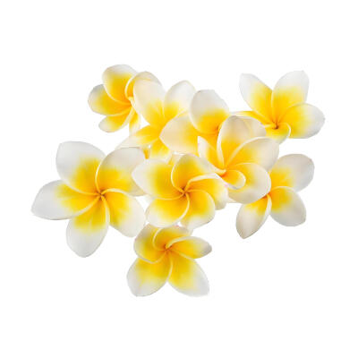 鸡蛋花白底头像