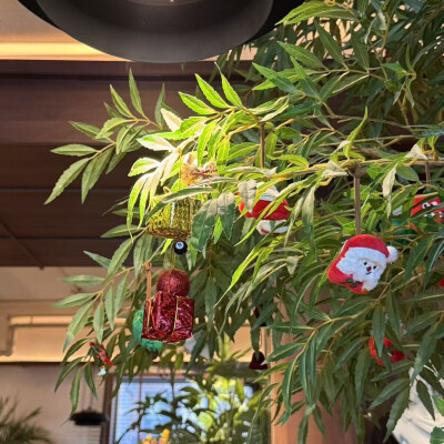 到处都是圣诞氛围