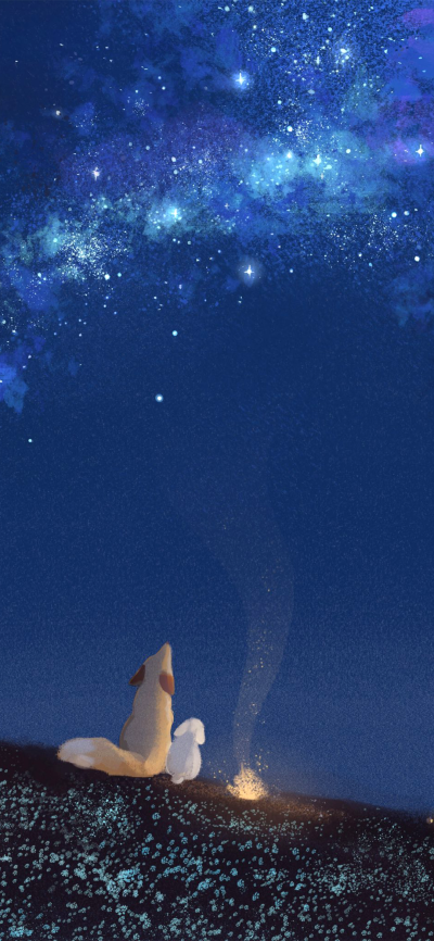 可爱的
图片来自网络，侵删