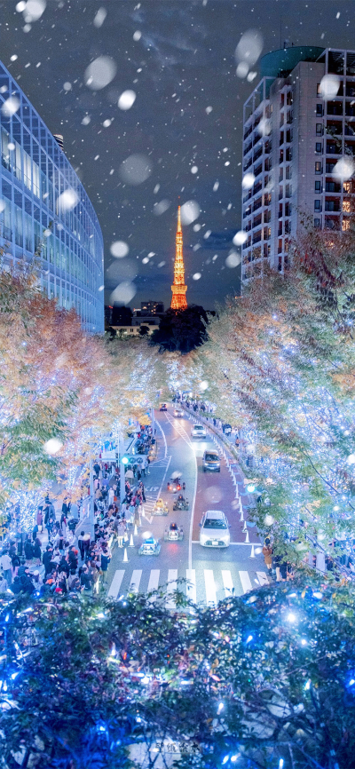 雪
图片来自网络，侵删