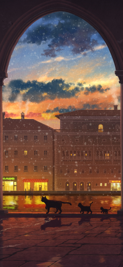 可爱的
图片来自网络，侵删