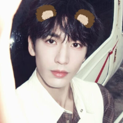 人生啊 真是猫猫又狗狗哟(⸝⸝ɞ̴̶̷ ·̮ ‹⸝⸝ᐡ)