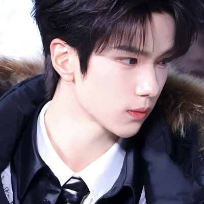 真没写过红楼梦