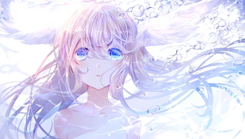 Photo by 壁纸迷