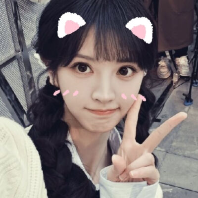 人生啊 真是猫猫又狗狗哟(⸝⸝ɞ̴̶̷ ·̮ ‹⸝⸝ᐡ)