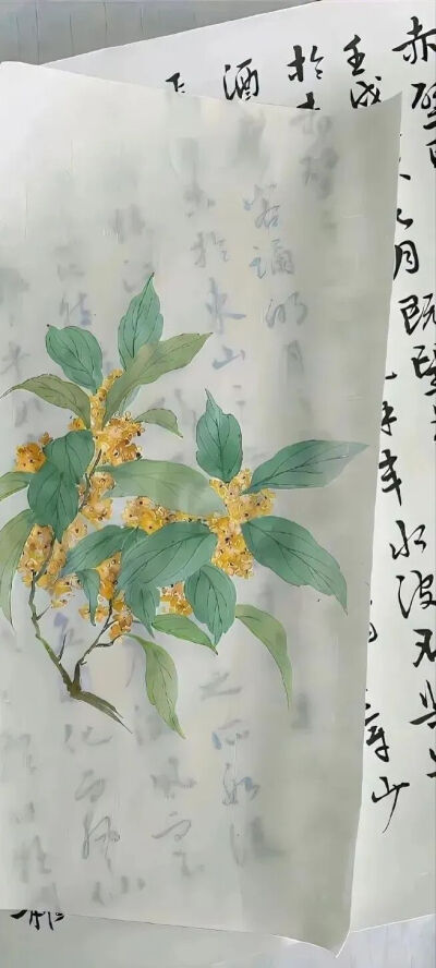 侵删