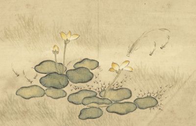 ▲《四时花卉册 花鱼》清 汪承霈 台北故宫博物院