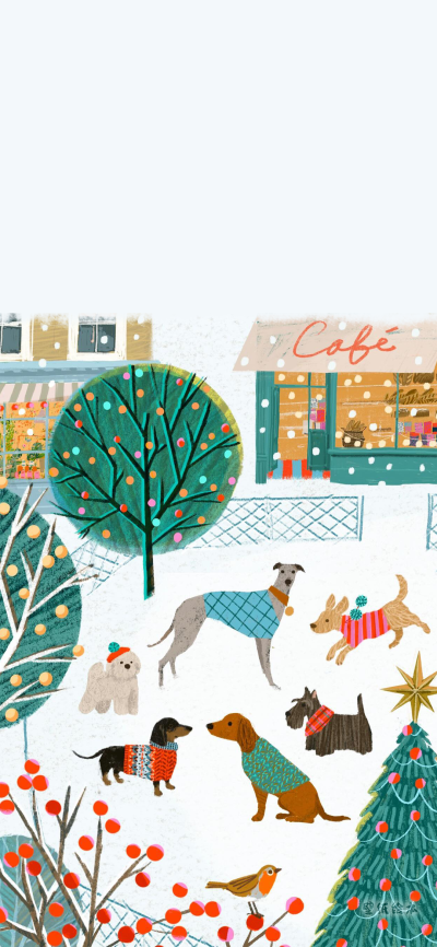 可爱的
图片来自网络，侵删