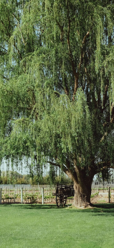 ‎#ليس قوة خارقة