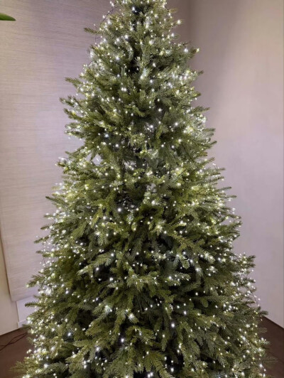 251216
金南俊更新ins