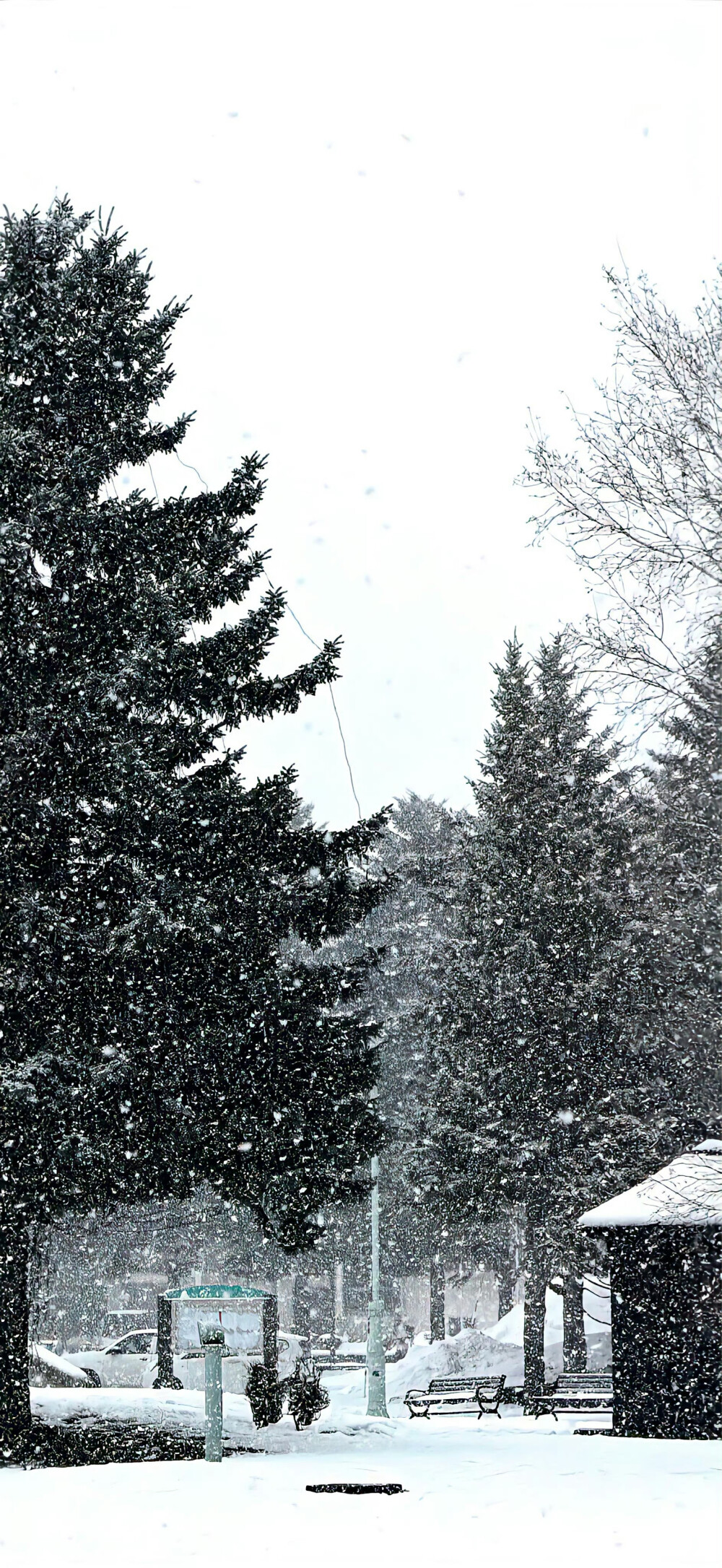 手机壁纸 | 聊天背景图