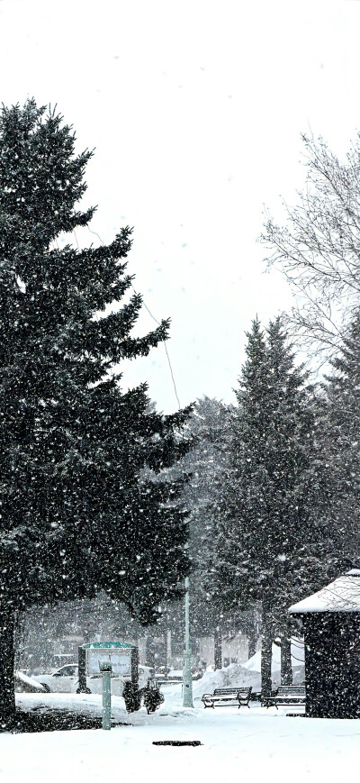 手机壁纸 | 聊天背景图