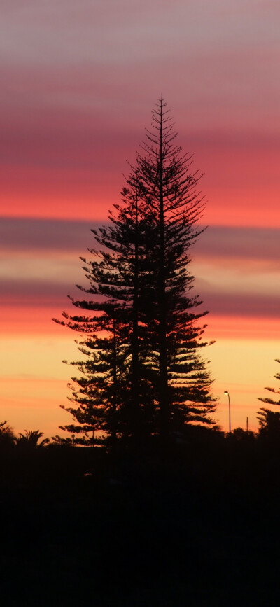 ‎#ليس قوة خارقة