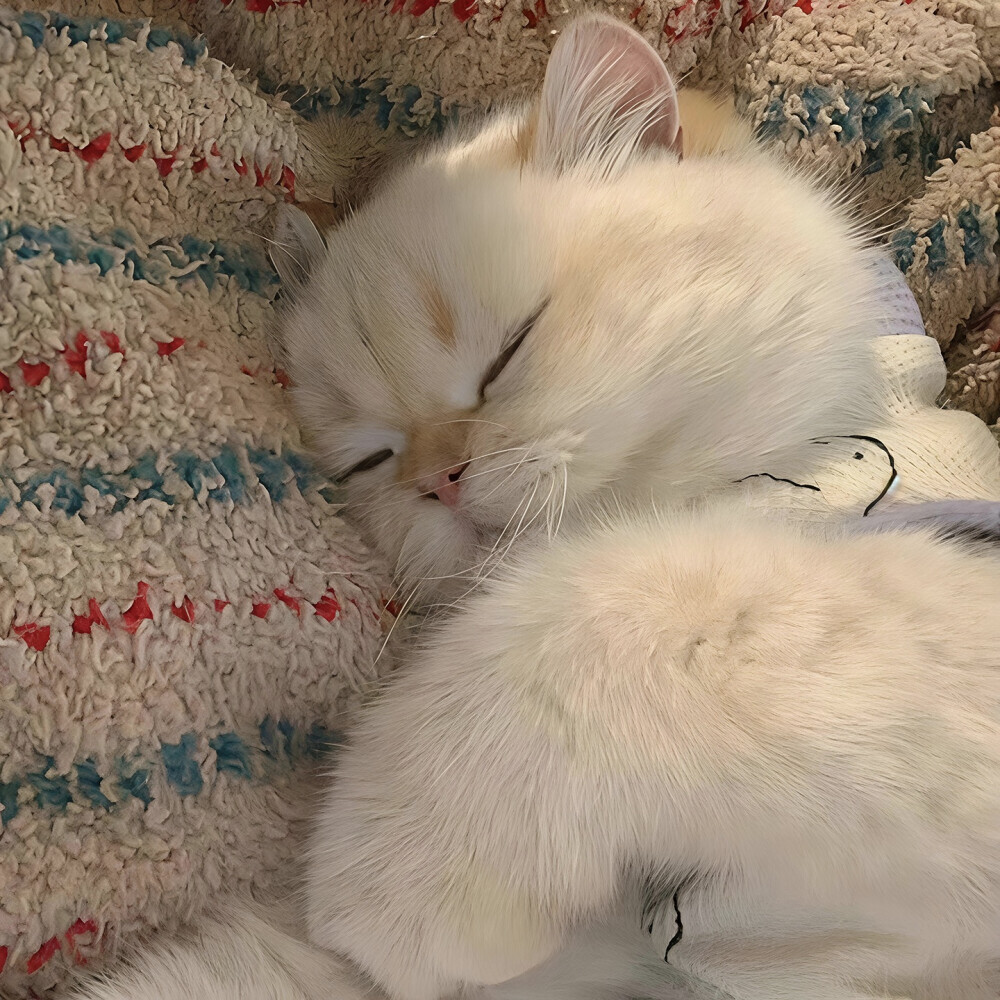 ‎#ليس قوة خارقة