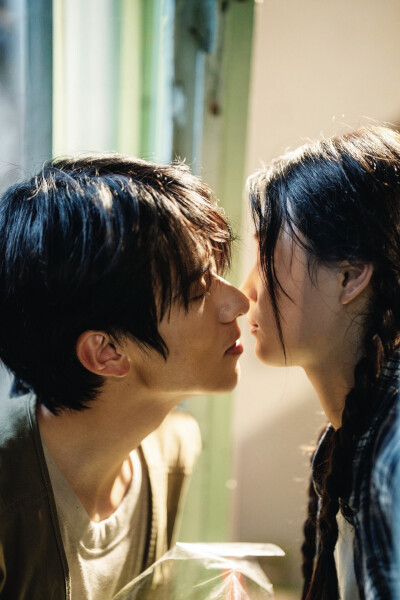 野火烧过的春天 向天涯