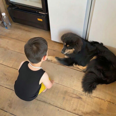 鸟敢站在脆弱的枝头上歇脚，它依仗的不是枝条不会断，而是它会飞