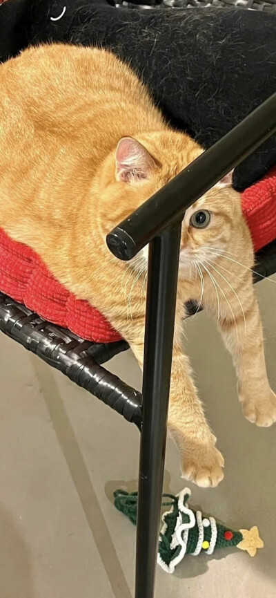 手机壁纸 | 聊天背景图