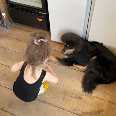 鸟敢站在脆弱的枝头上歇脚，它依仗的不是枝条不会断，而是它会飞