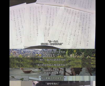 人生フルーツ
人生果实