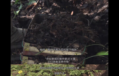 人生フルーツ
人生果实