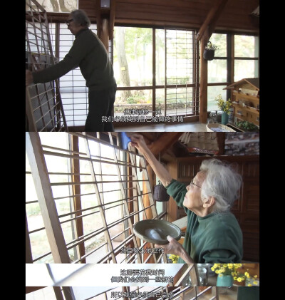 人生フルーツ
人生果实