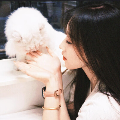 生活无解，去爱，去感受