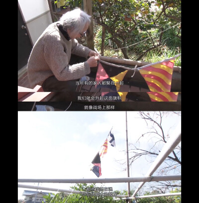 人生フルーツ
人生果实