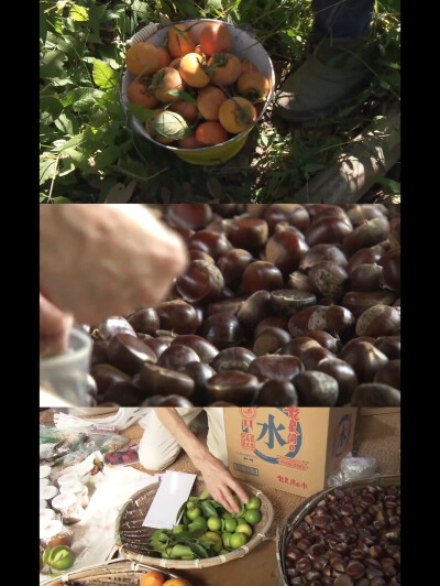 人生フルーツ
人生果实