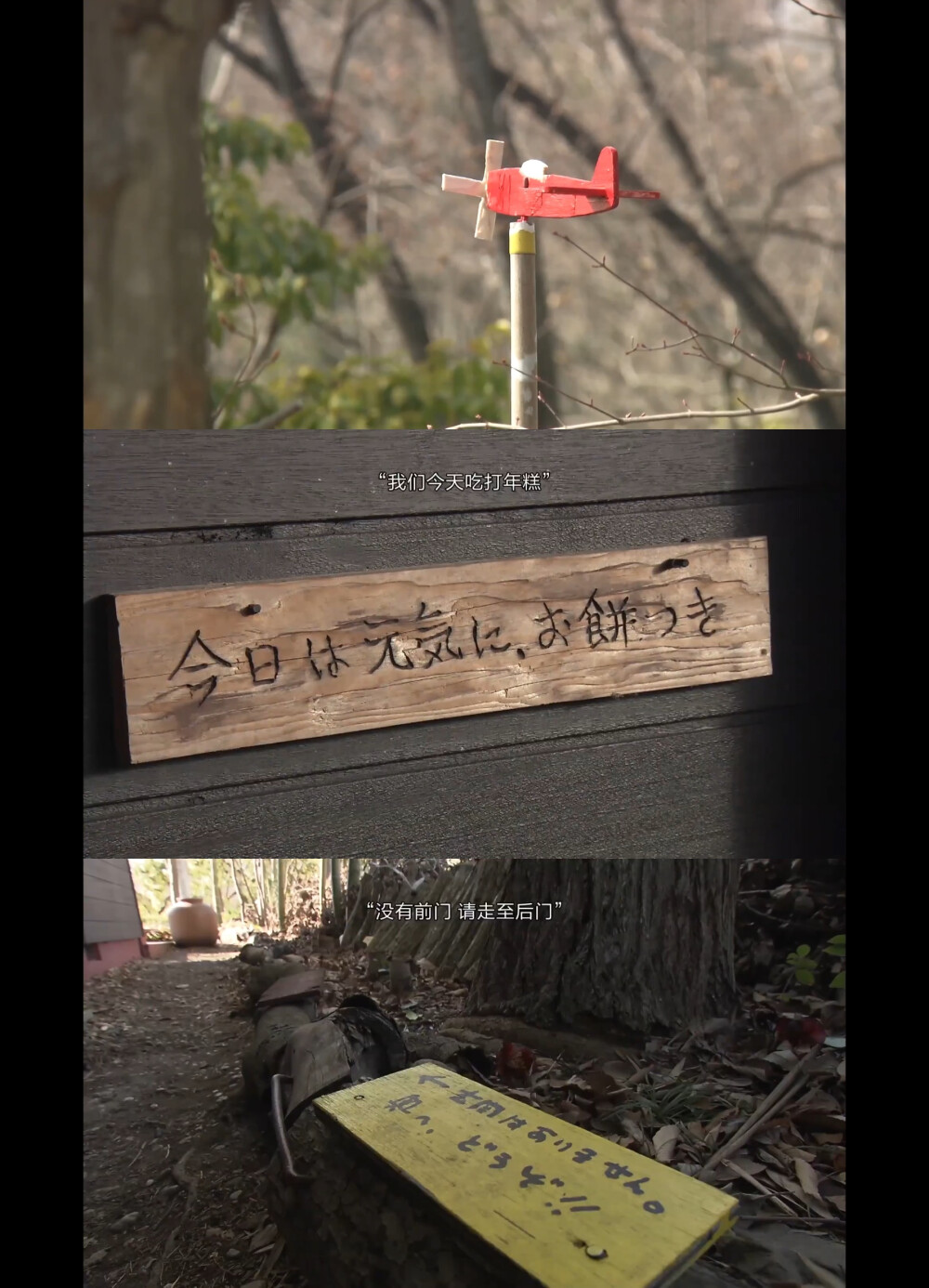 人生フルーツ
人生果实