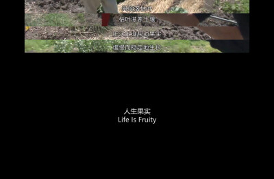 人生フルーツ
人生果实