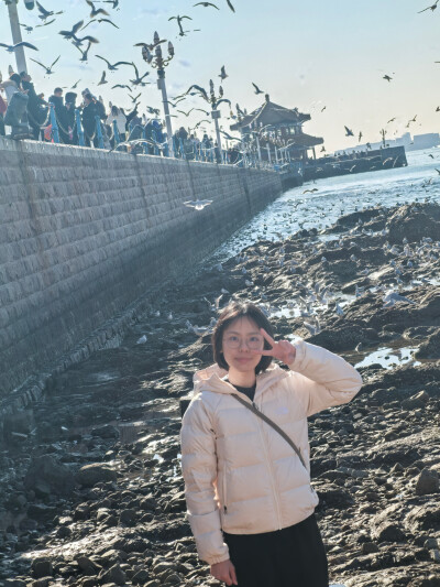 没下雪但不影响喂海鸥