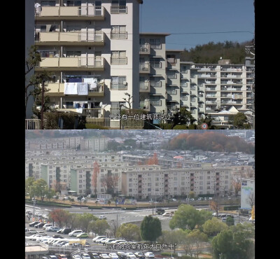 人生フルーツ
人生果实