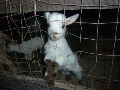 ৩ֺּིྀ ♱ॱ☩༙