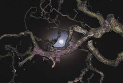 ৩ֺּིྀ ♱ॱ☩༙