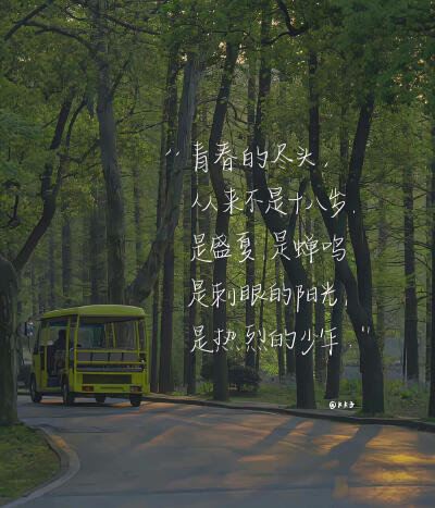青春的尽头，从来不是十八岁。
是盛夏，是蝉鸣，是刺眼的阳光，是热烈的少年！