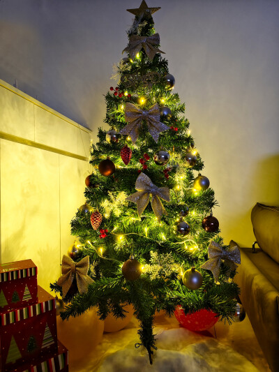 对不起好久没更新，祝大家迟来的圣诞节快乐～٩(๑•̀ω•́๑)۶