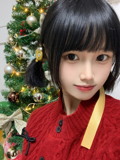 对不起好久没更新，祝大家迟来的圣诞节快乐～٩(๑•̀ω•́๑)۶