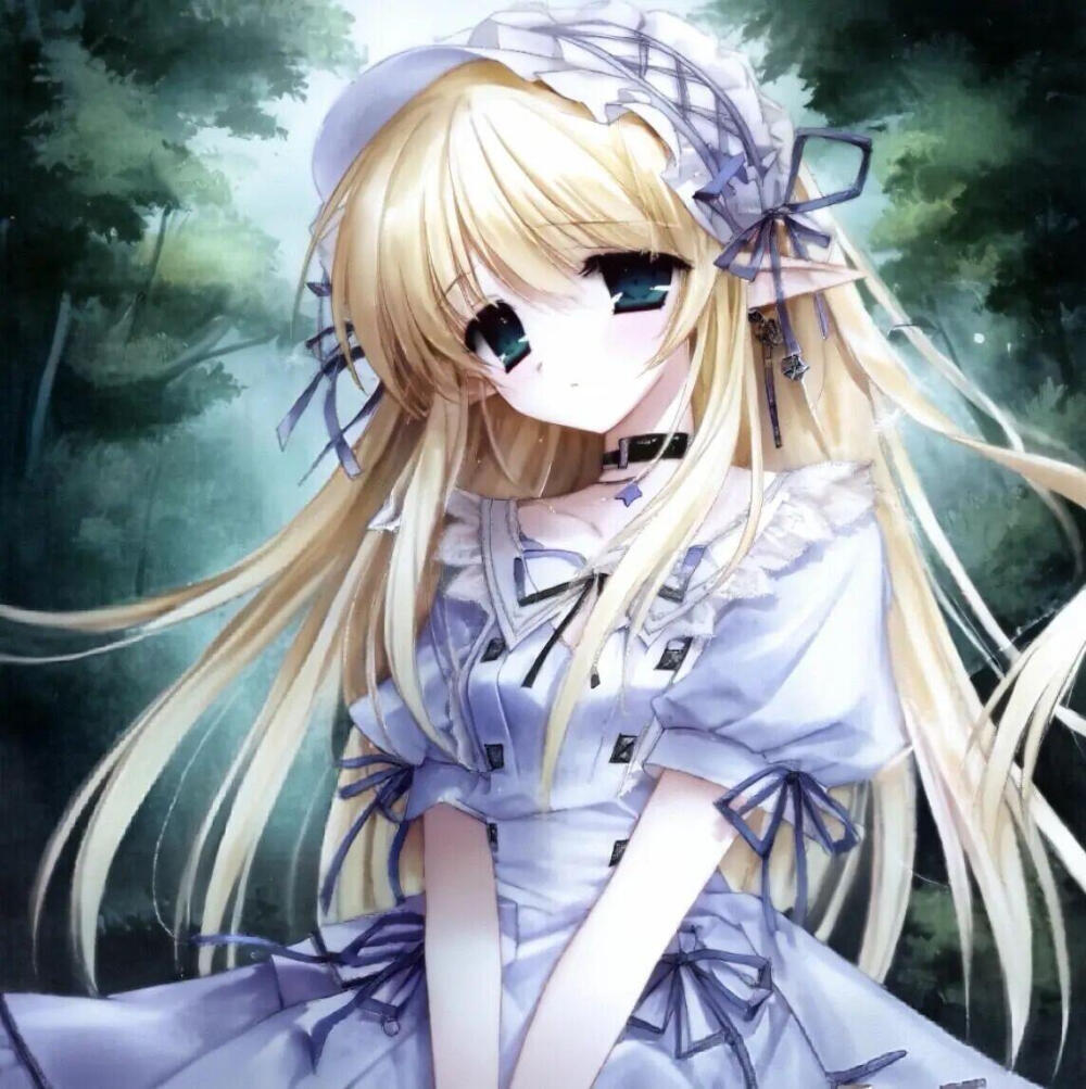 dt真夜中莉莉娜