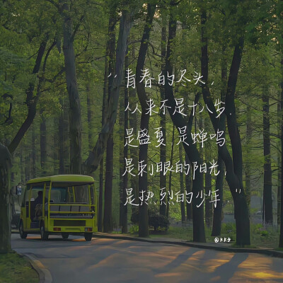 青春的尽头，从来不是十八岁。
是盛夏，是蝉鸣，是刺眼的阳光，是热烈的少年！