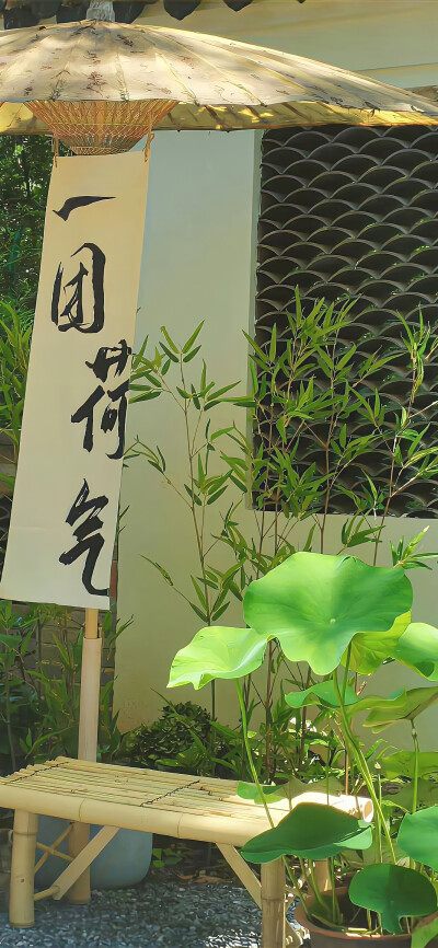 壁纸·图源微博