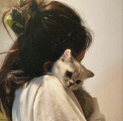抱猫女头