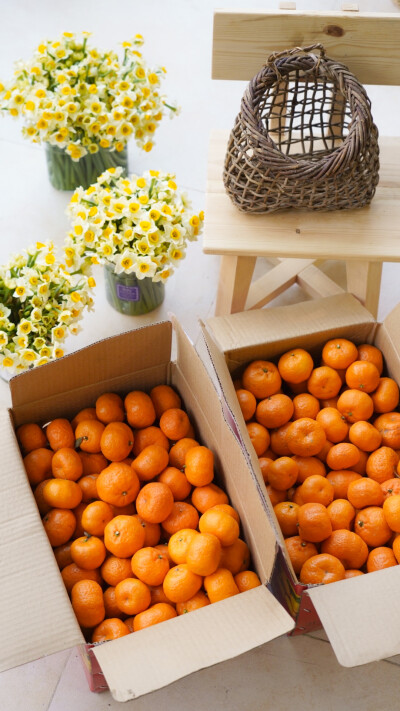 在冬天的水果摊之橘子摊位被砂糖橘占领之前，记忆里小时候是吃另一种小橘子的。酸酸甜甜，小巧可爱，圆圆扁扁，吃起来一个接一个，闻起来除了橘子香之外还有一股甜甜的蜂蜜香气，清爽甜浓，就是南丰蜜桔。江西的酸性…