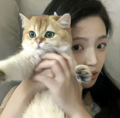 女生套图
图源网络