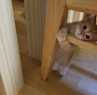 女生套图
图源网络